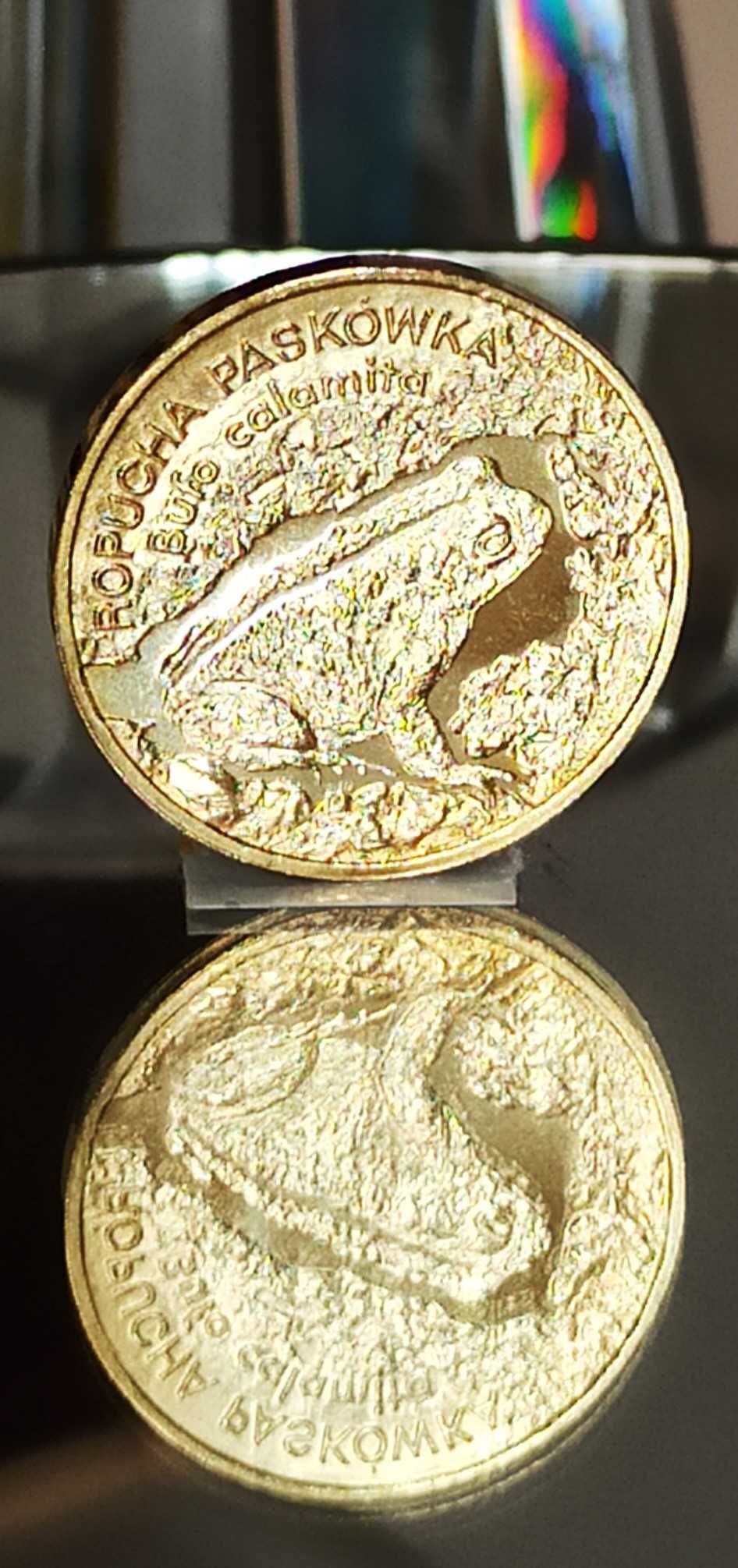 2 zł 1998 r. Ropucha Paskówka