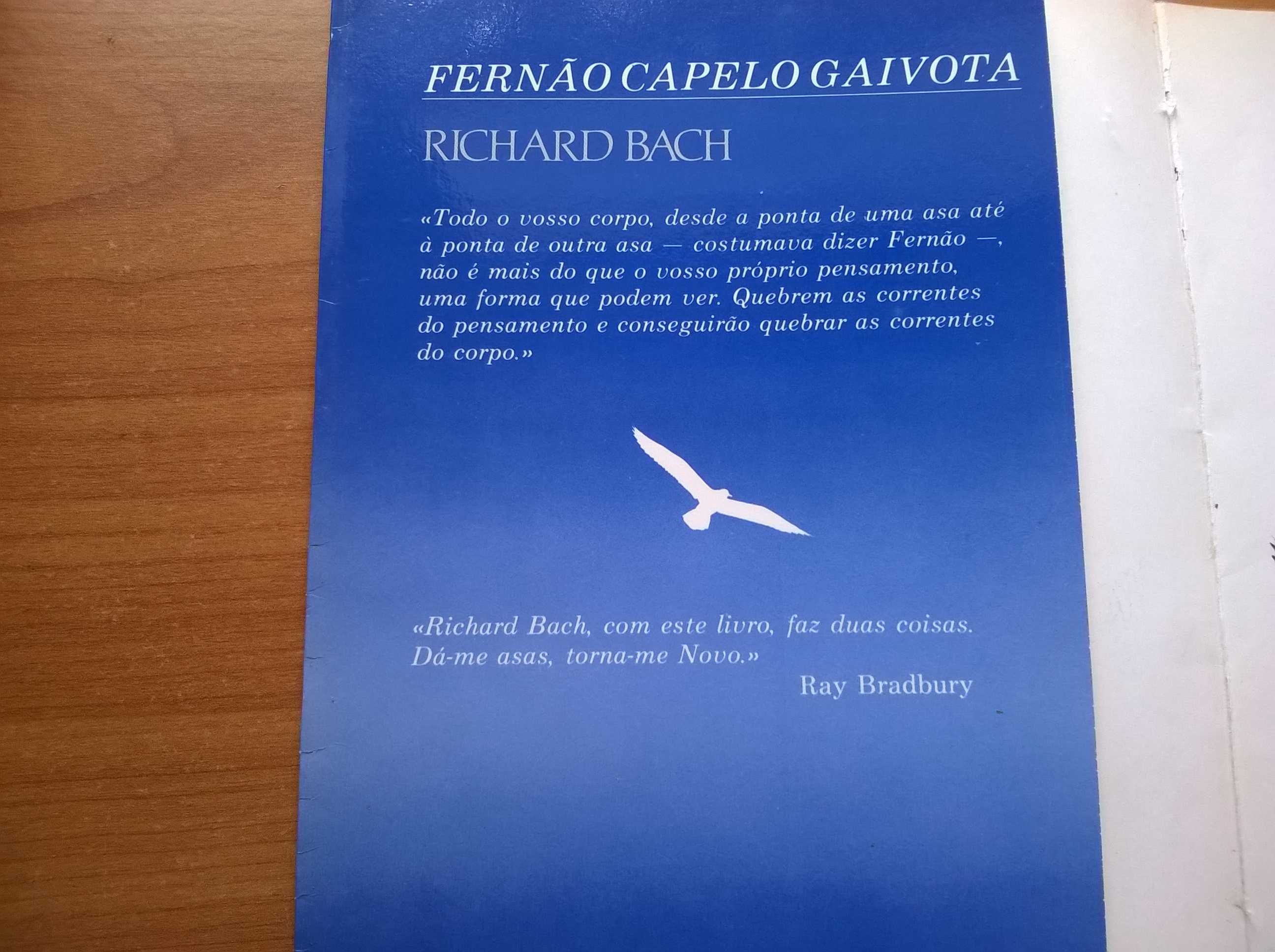 Fernão Capelo Gaivota - Richard Bach