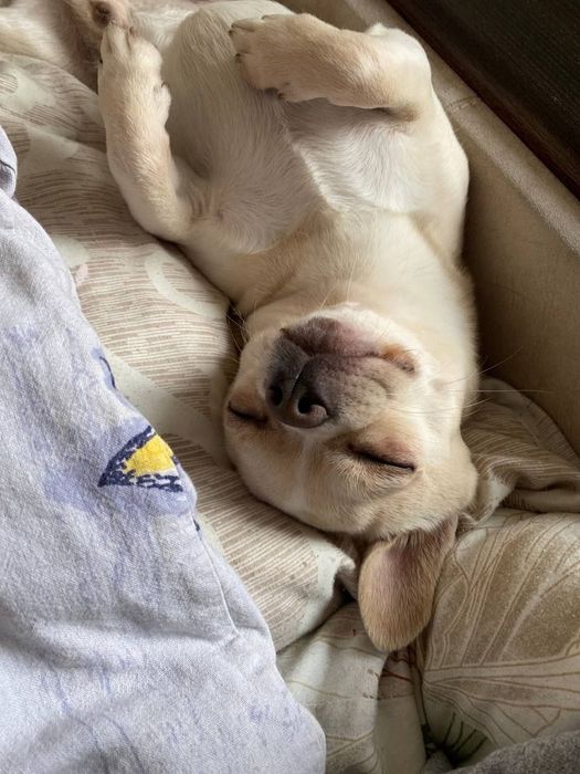 Одинокий мужчина в самом соку