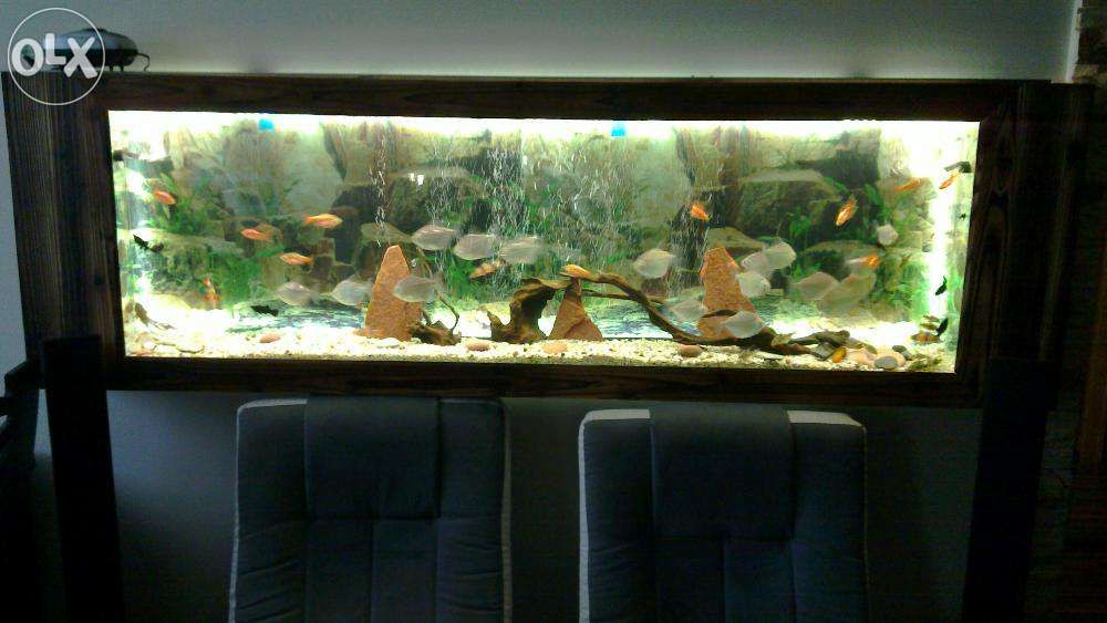 AKWARIUM ŚCIENNE AquaCool 87 litrów długość 130x50x15
