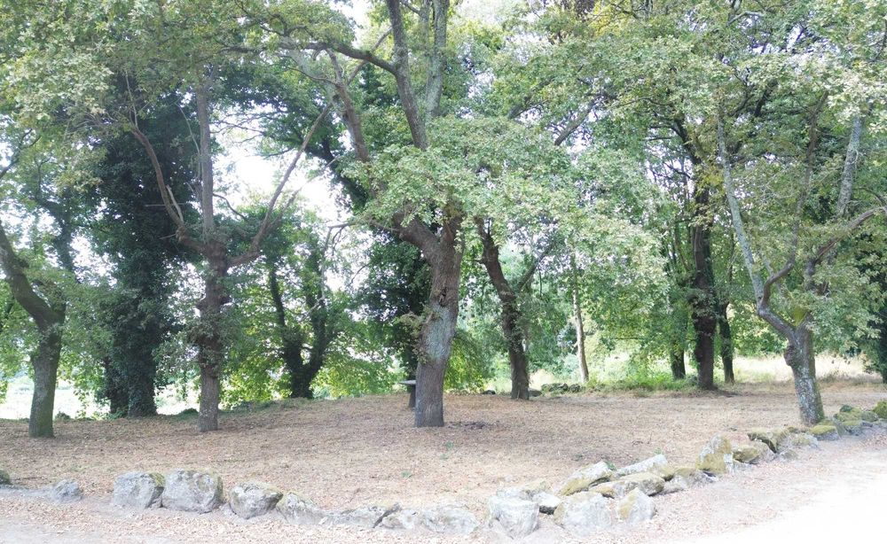Terreno e Monte Guimarães