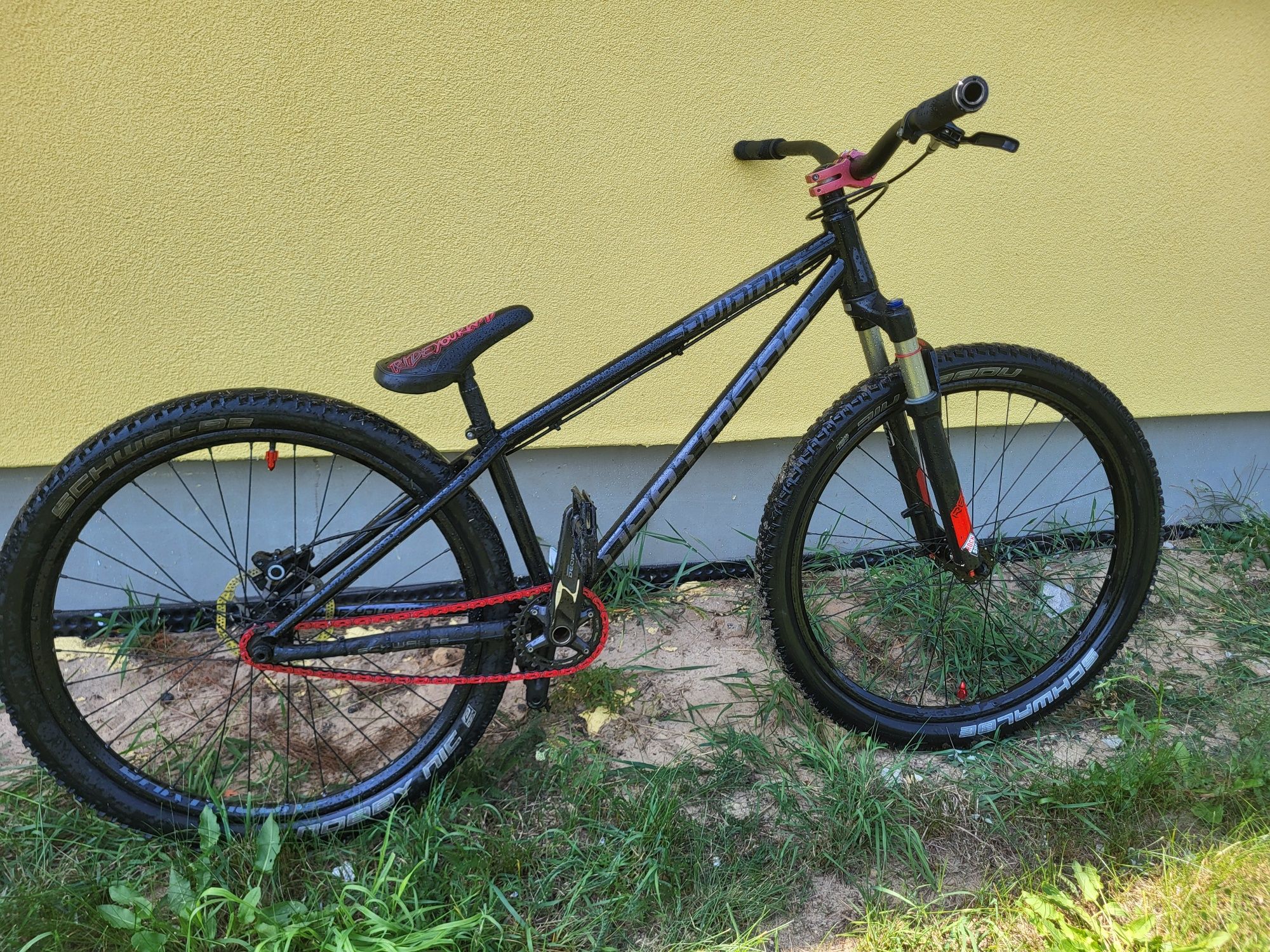 Dartmoor quinnie 2020