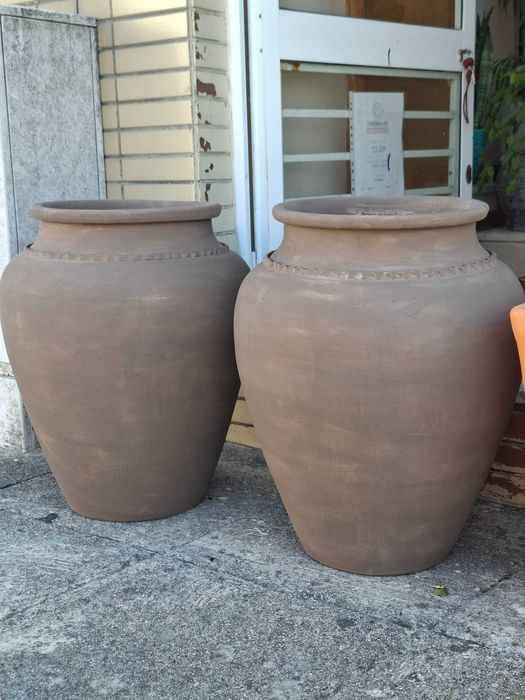 Vasos rústicos Loja