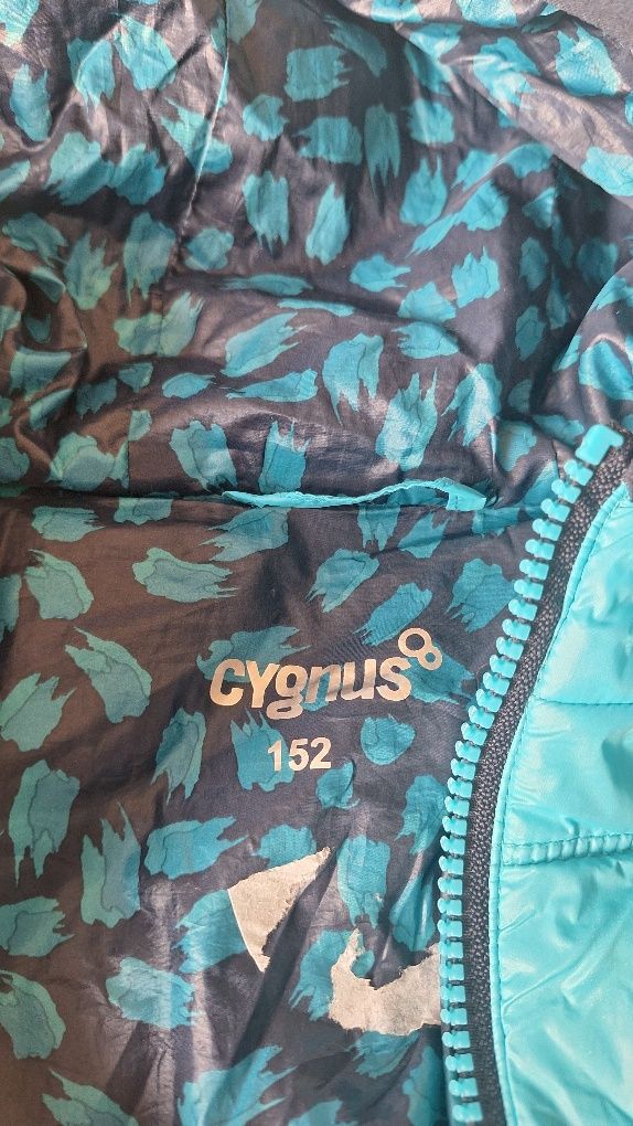 Kurteczka chłopięca Cygnus