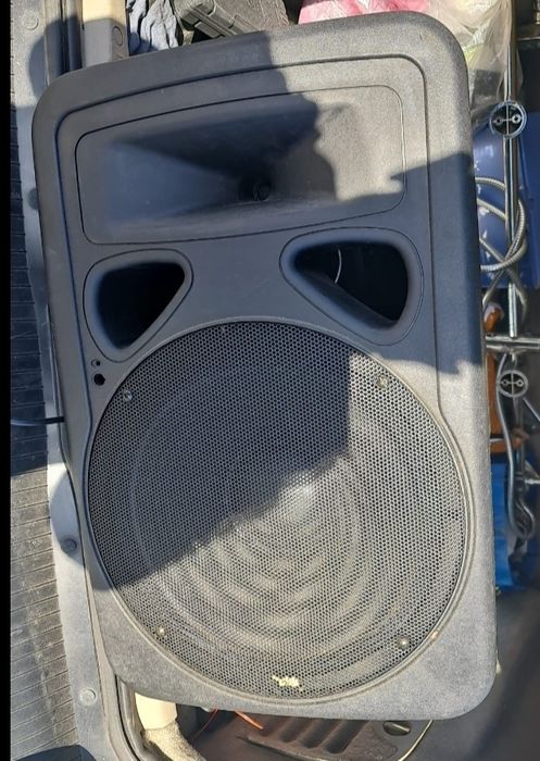 Coluna amplificada profissional "15"