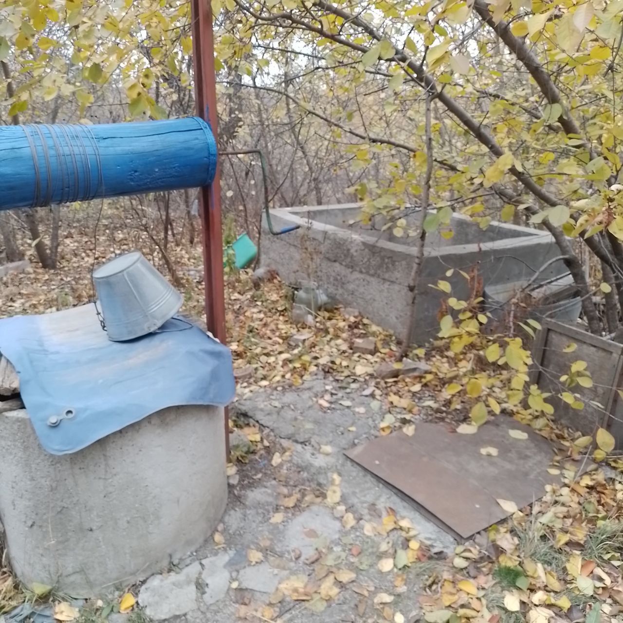Продам участок с домом с. Васильевка