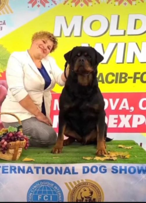 Мама папа чемпіони
