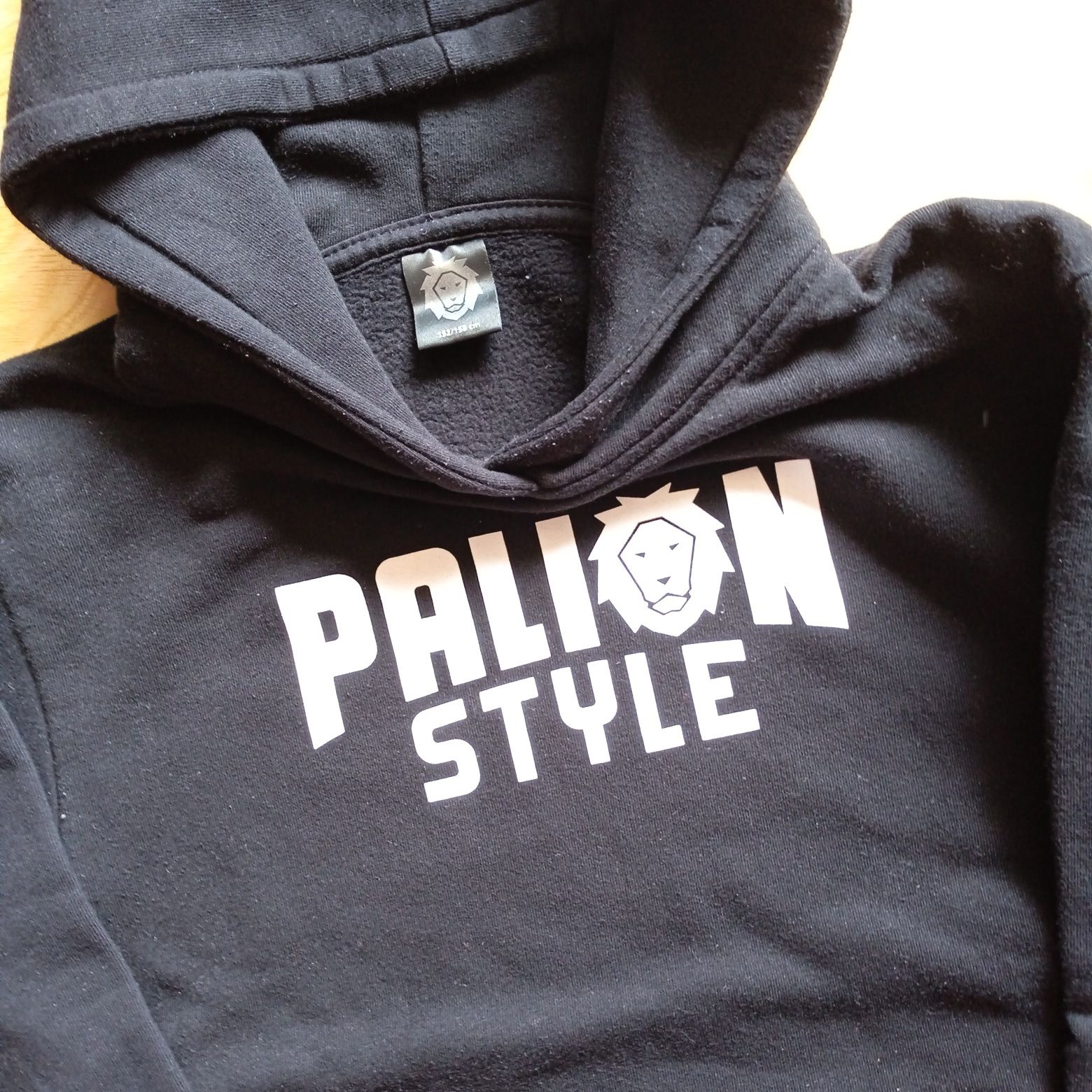 Bluza Palion Style