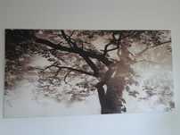 Obraz na płótnie canvas 200x100 cm
