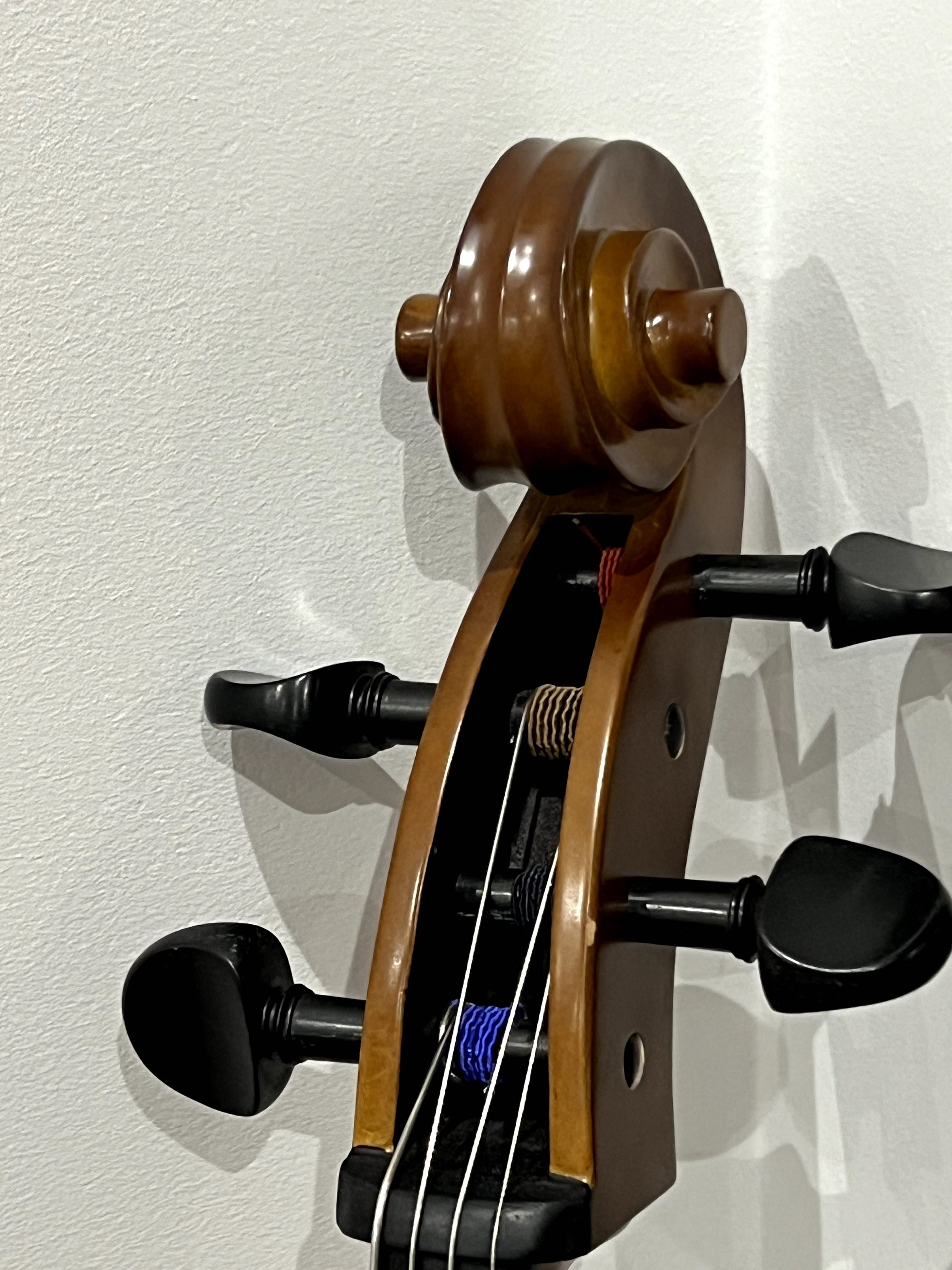 Violoncelo 3/4 student II SH STENTOR com Cordas 
Pirastro Chromcor