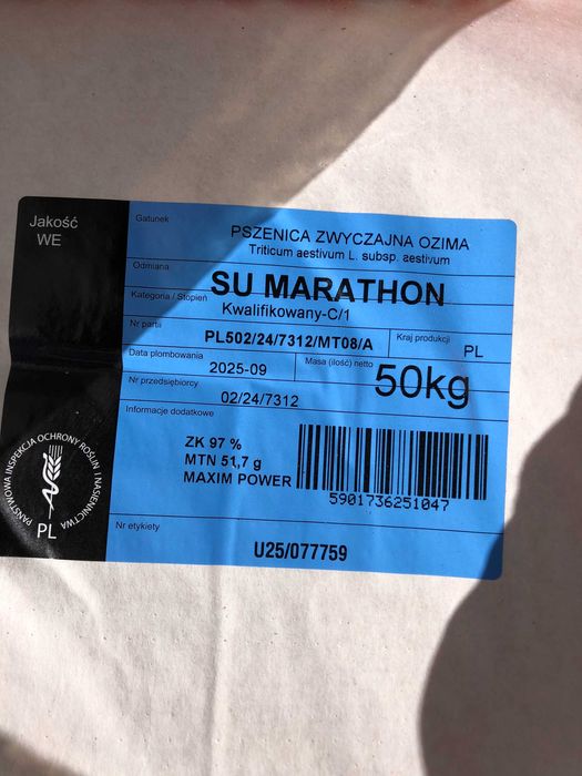 Pszenica Euforia, Hondia, SY Dubaj, Marathon, Produzent, Provision C1