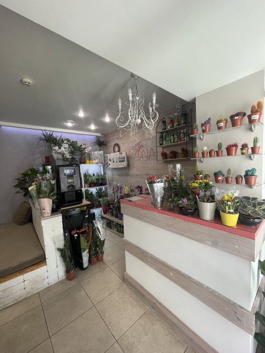 Приміщення , салон коаси, барбершоп, магазин,офіс,клініка, стоматологі