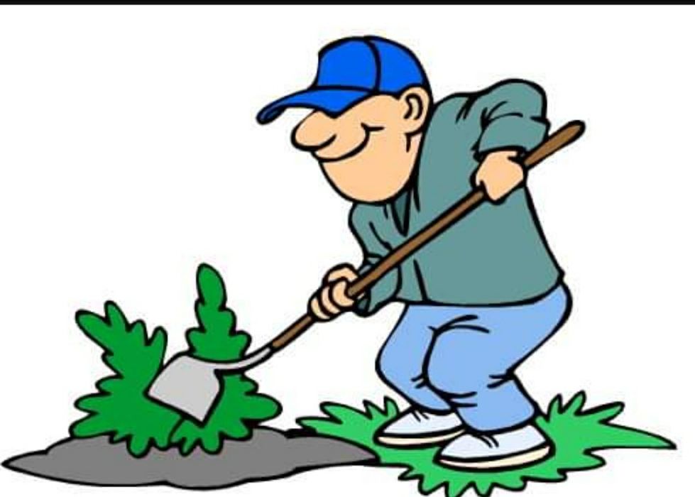 Wycinka drzew, prace ogrodowe, remonty