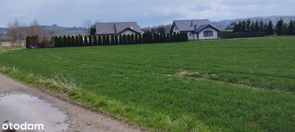 Działka budowlana i inwestycyjna koło Bochni