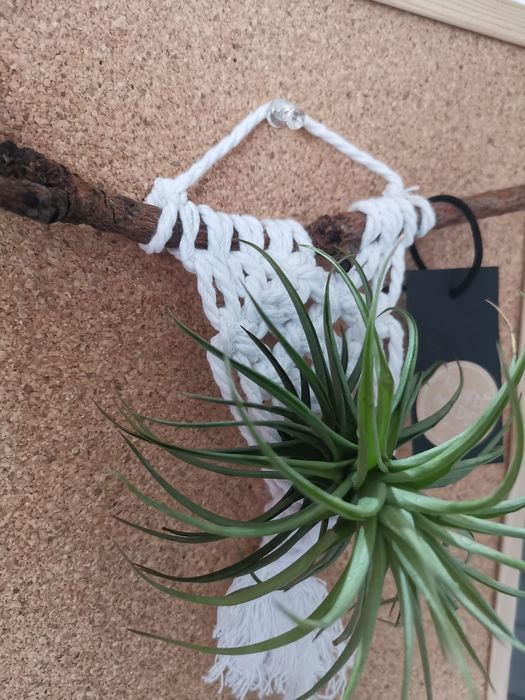 Macrame c/planta tillandsia flor rosa*souvenirs/presente a esgotar