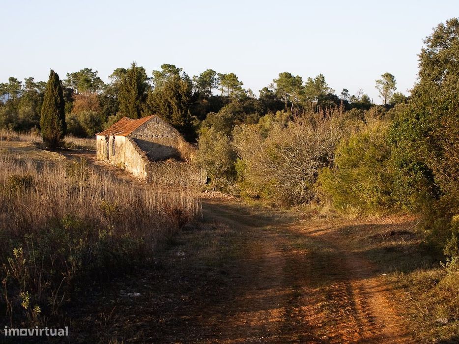 Quinta com 14.754 m2 para Reconstruir