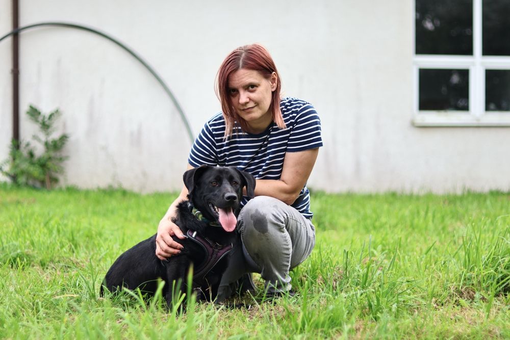 Teddy - roczny mini lablador , kochany i czuły