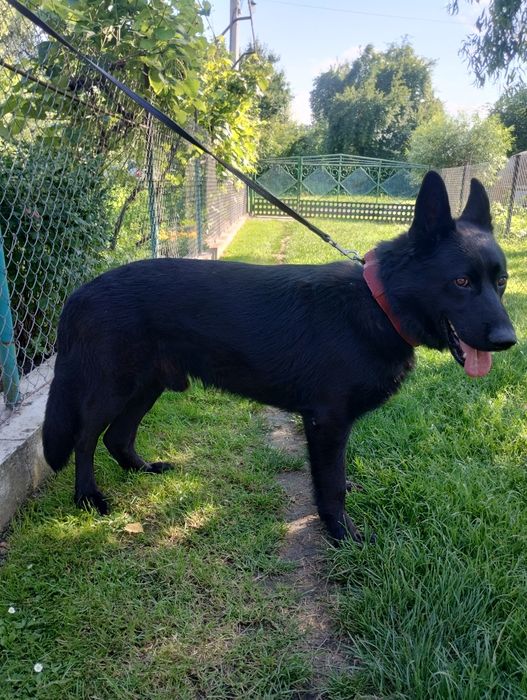 Кабель для в'язки