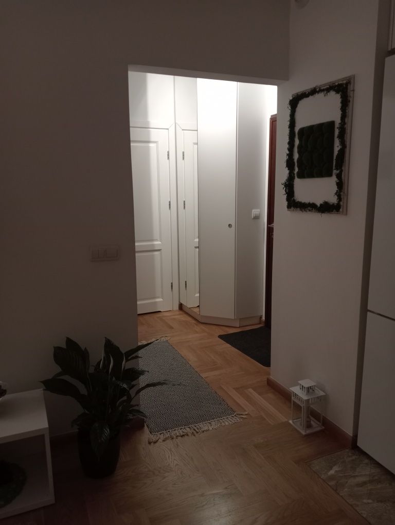 Apartament SUZANNA godz/noce/doby Arkadia ul. Kłopot