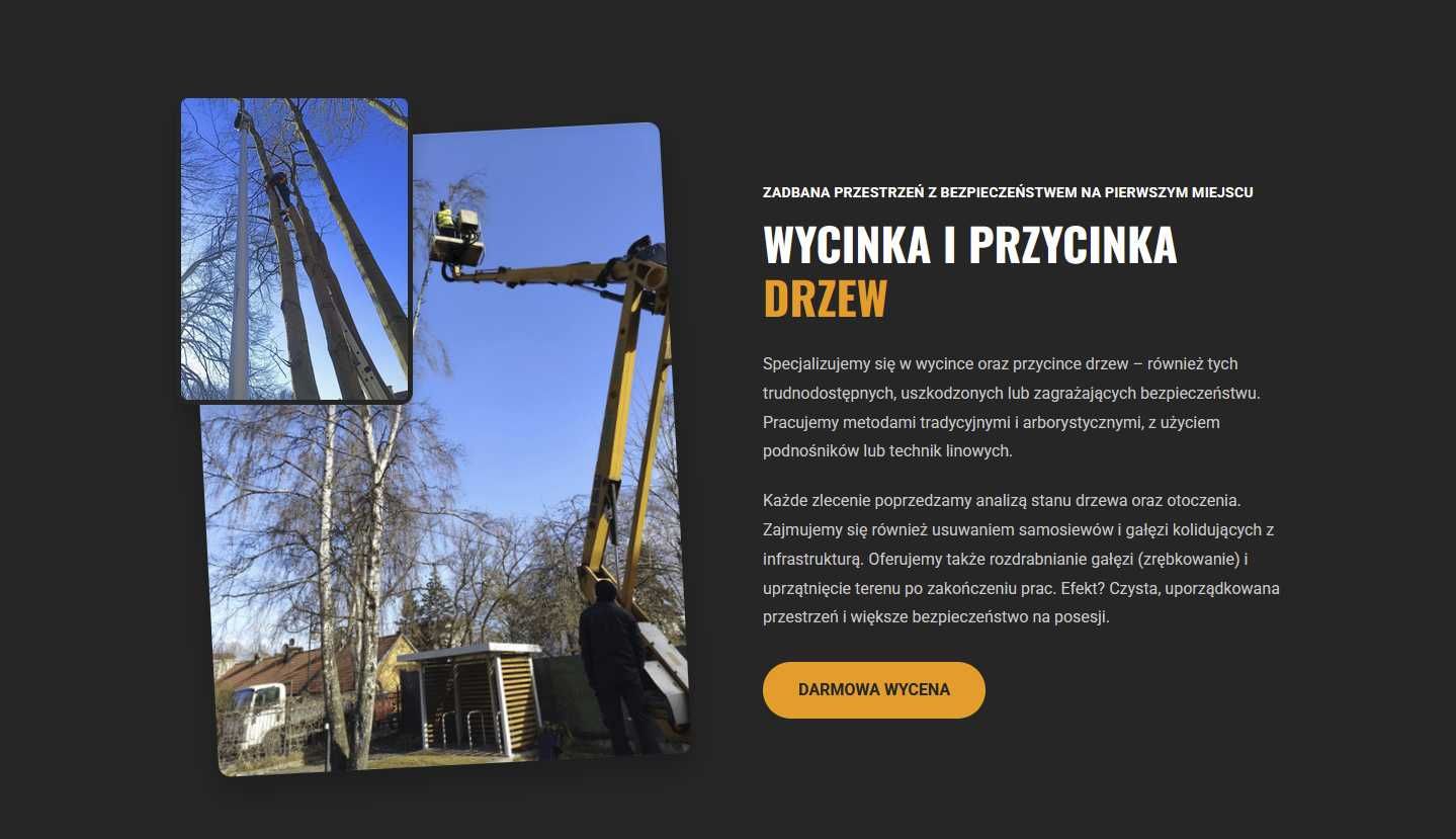 Strona internetowa za 300 zł – wizytówka, landing page, szybko i tanio