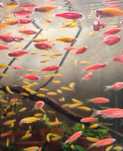 Аквариумные рыбки данио  GloFish