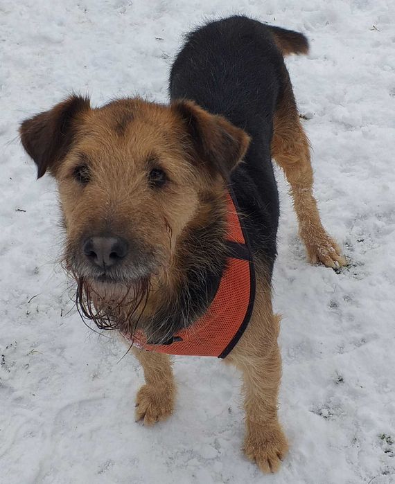 Terry czeka na szansę od życia, na własną rodzinę