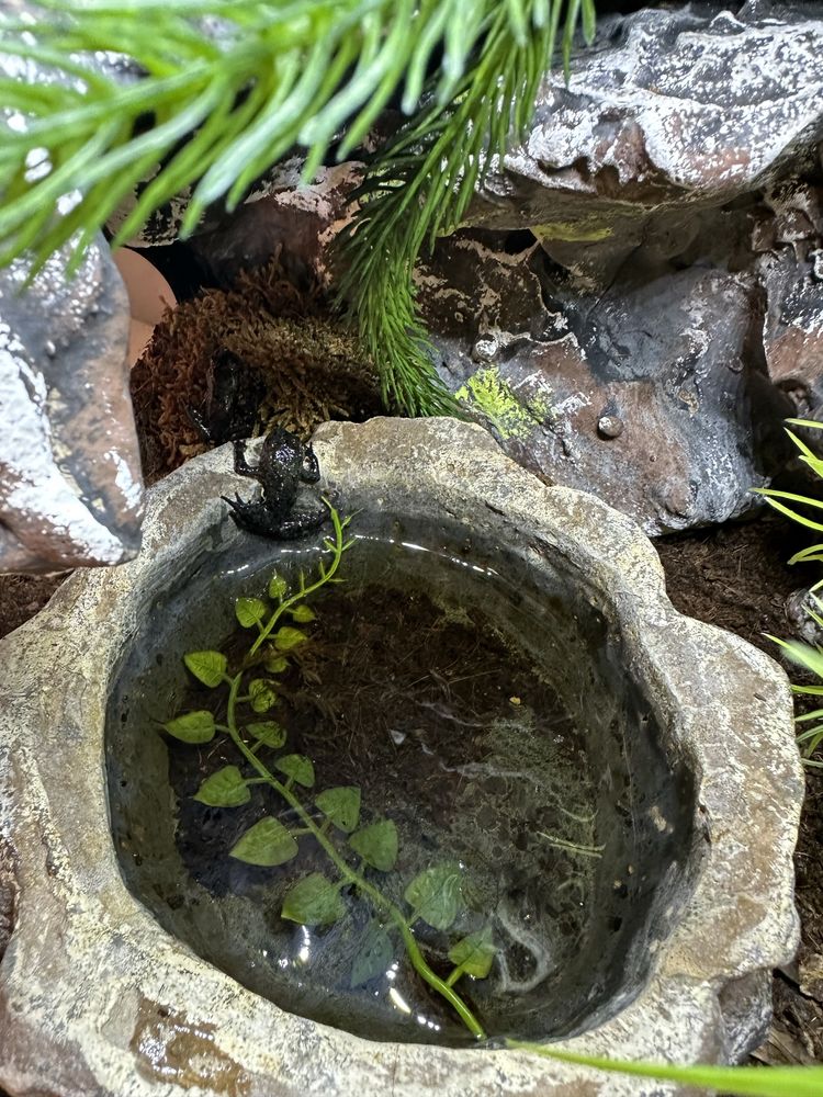 Terrarium przeszklone z oswietleniem