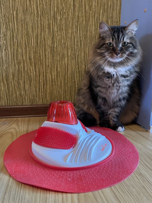 Іграшка для котів Royal canin