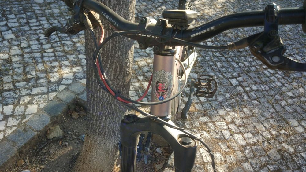 Bicicleta montanha