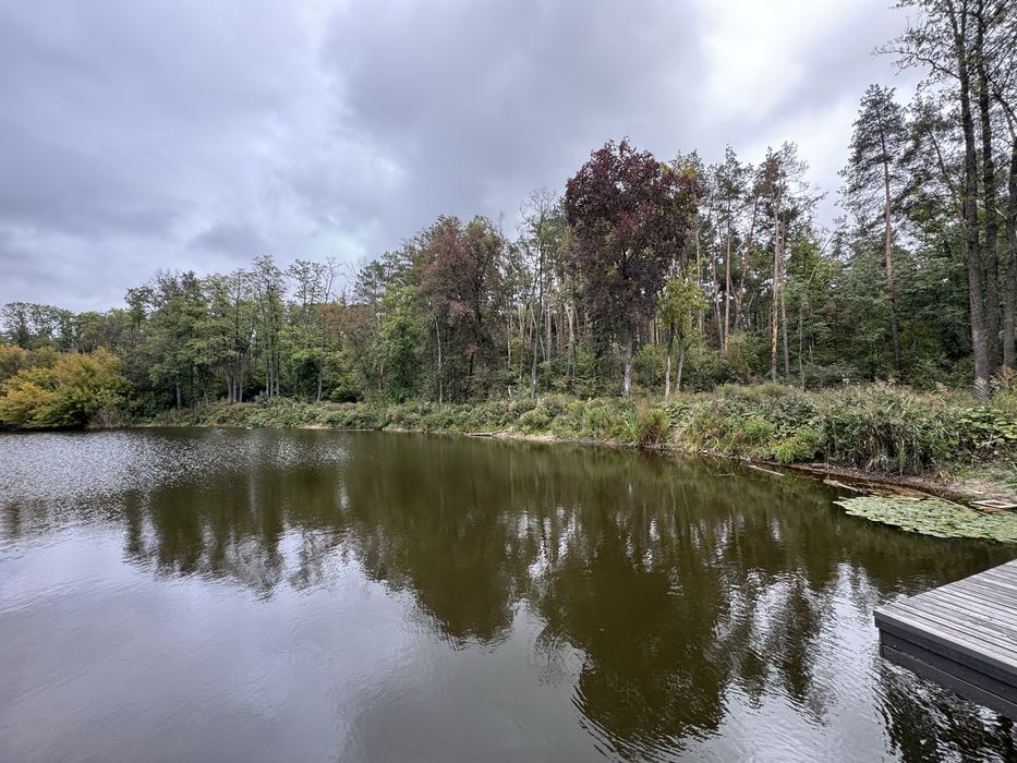 Ділянка з виходом на воду, сосновий ліс, ЗКМ Чумаків Куточок Ходосівка