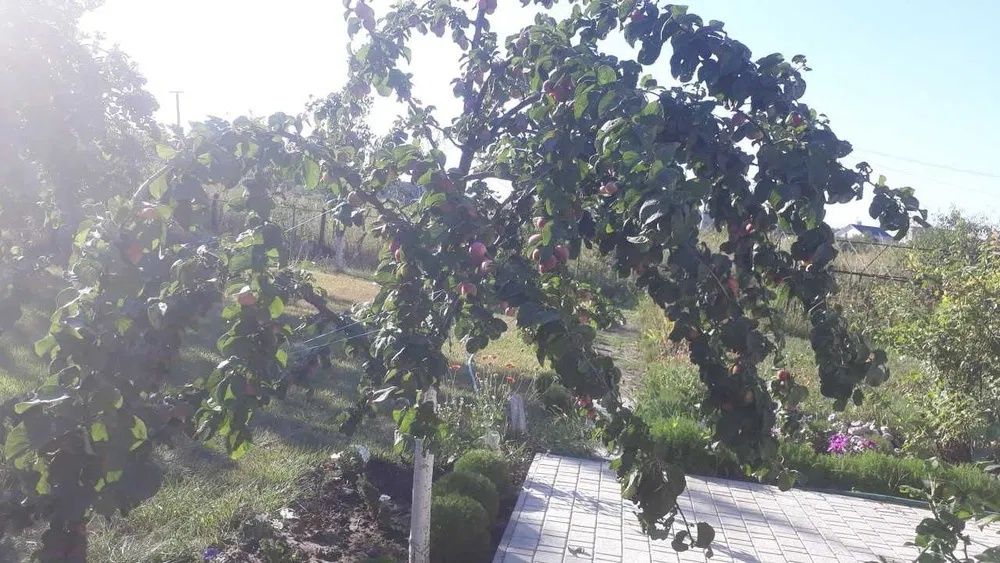 Продам дом - дачу в Песчанке реальному покупателю ТОРГ