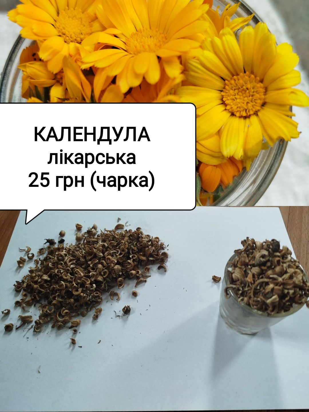 Календула нагідки