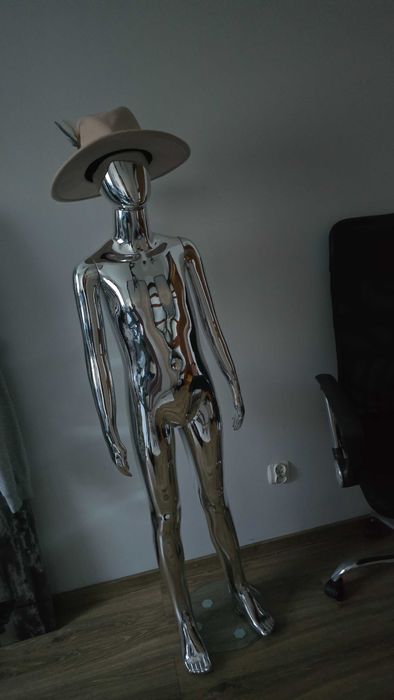 Sprzedam manekiny- srebrne, dziecięce. Cena 350 złotych .