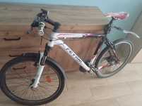Rower MTB Ferrini R3