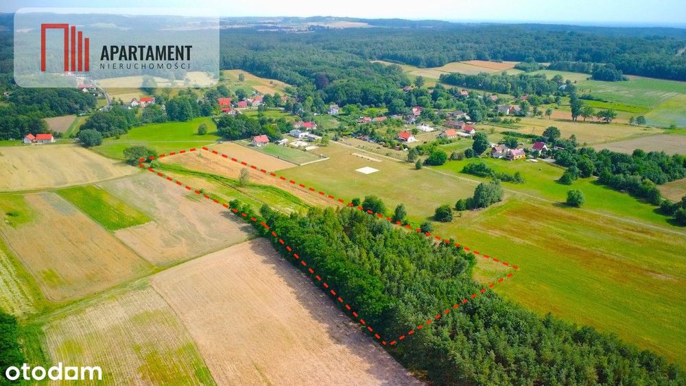 40 min do Wrocławia!k. Obornik Śląskich! 90zł/m2