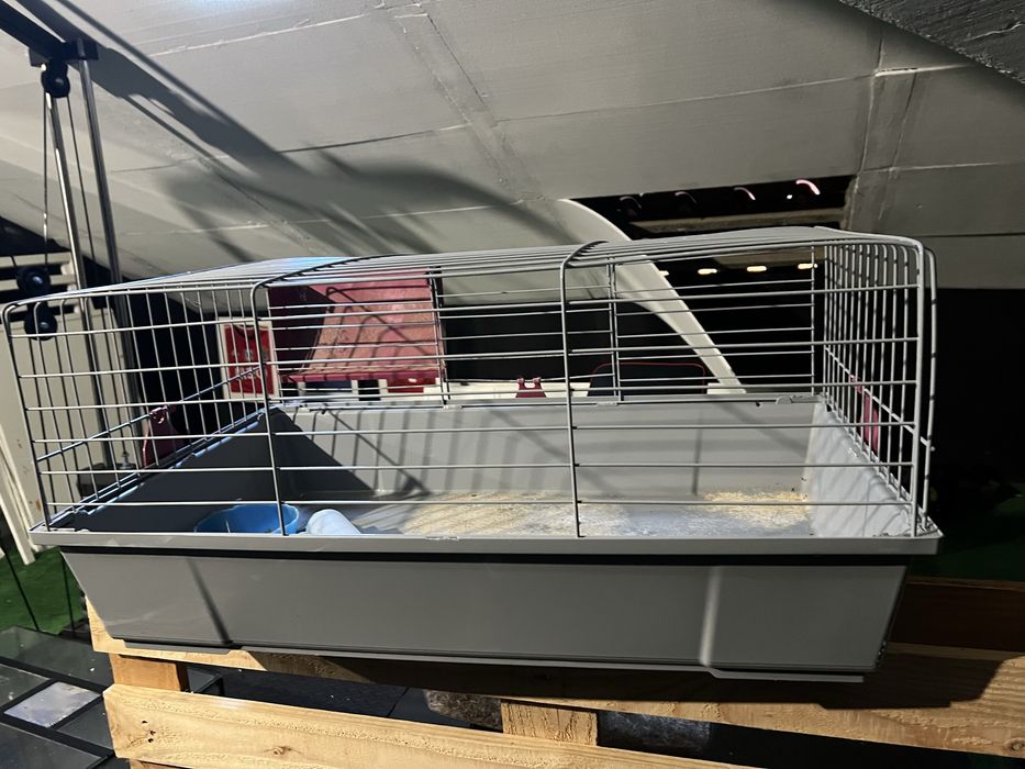 Gaiola coelho em bom estado