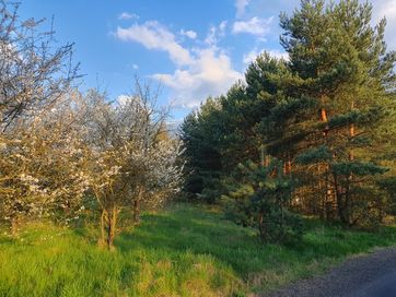 Działki Budowlane Jura PRZYBYNÓW