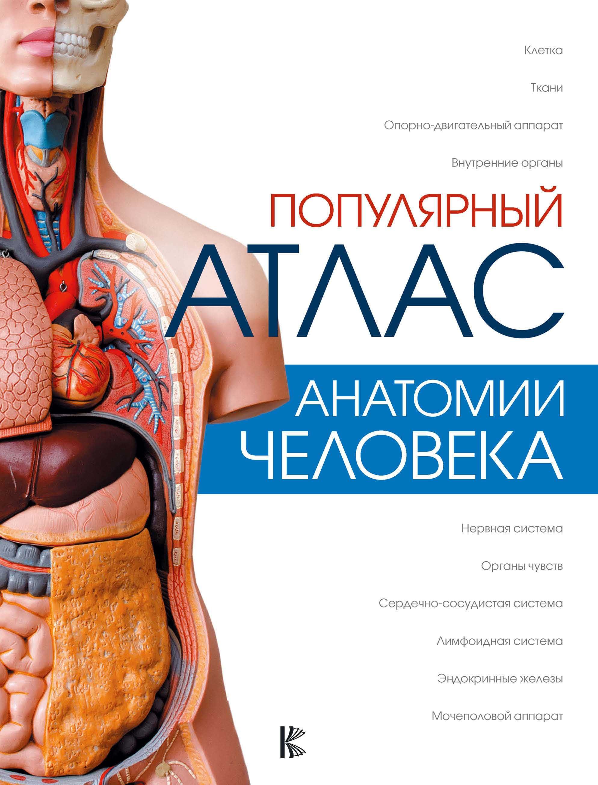 Популярный атлас анатомии человека Палычева 2018 г.