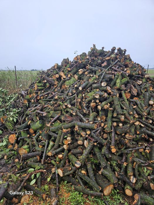 sprzedam drewno owocowe