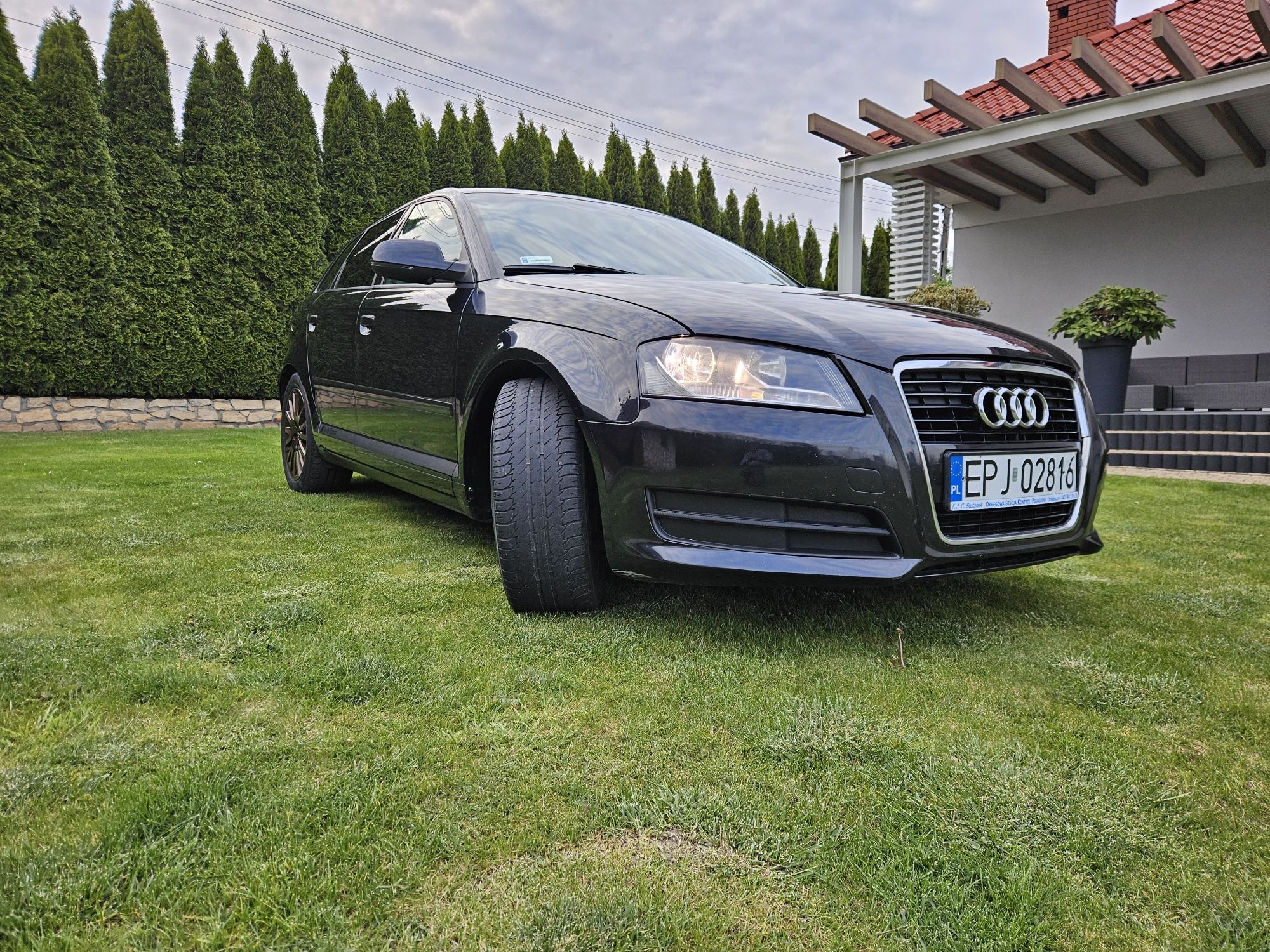 Audi a3 8p Sportback