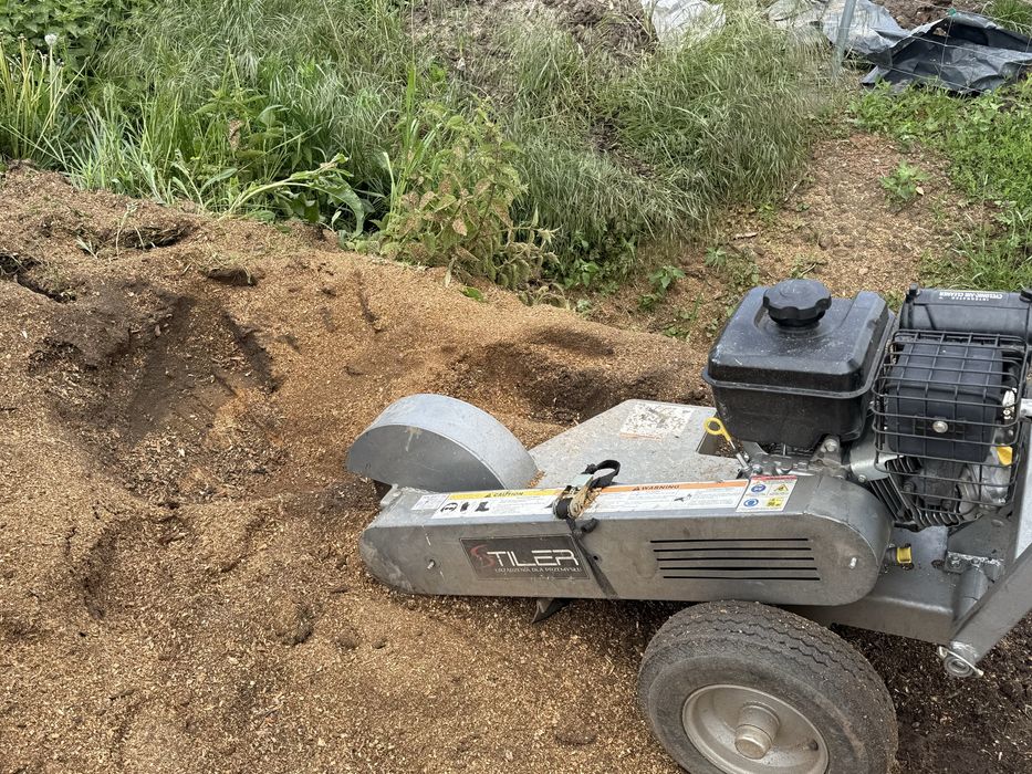 Usuwanie pni drzew karczowanie