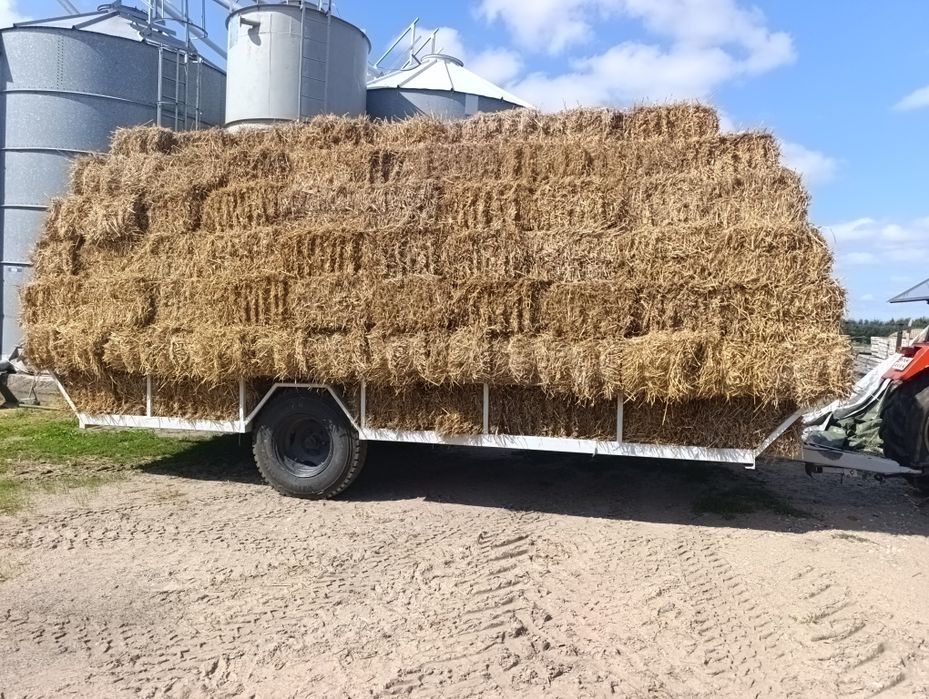 Słoma od pszenżyta mała kostka 250 szt