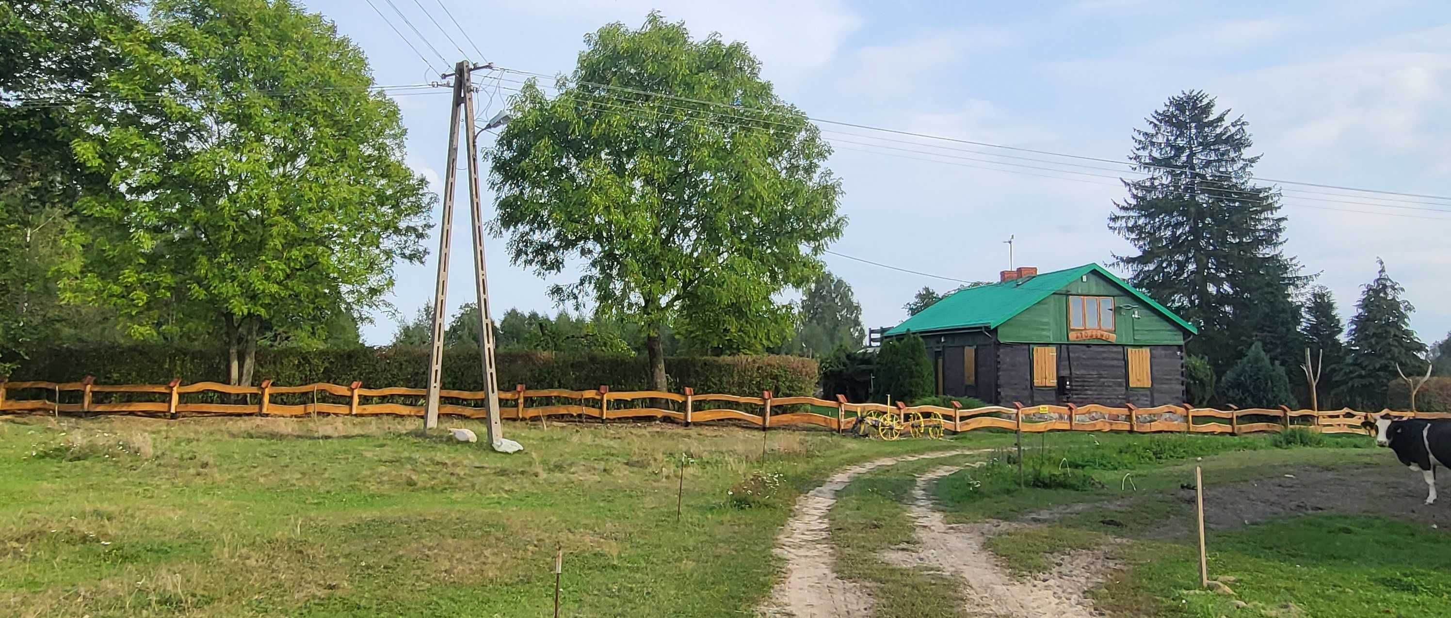 Wyjątkowe Siedlisko w sercu Mazowsza na sprzedaż!