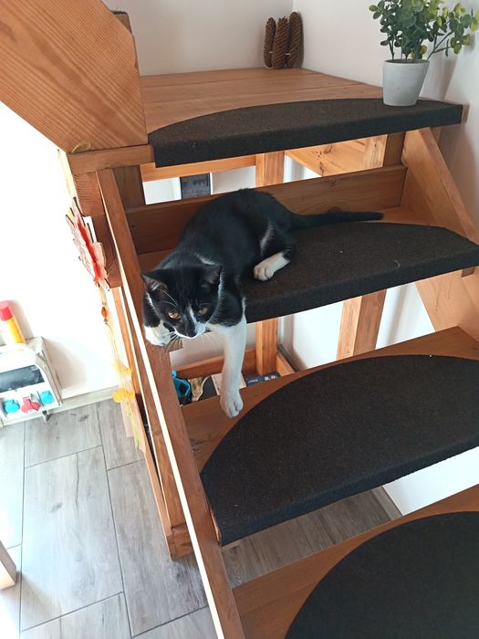 Kup Działkę w Ciężkowie