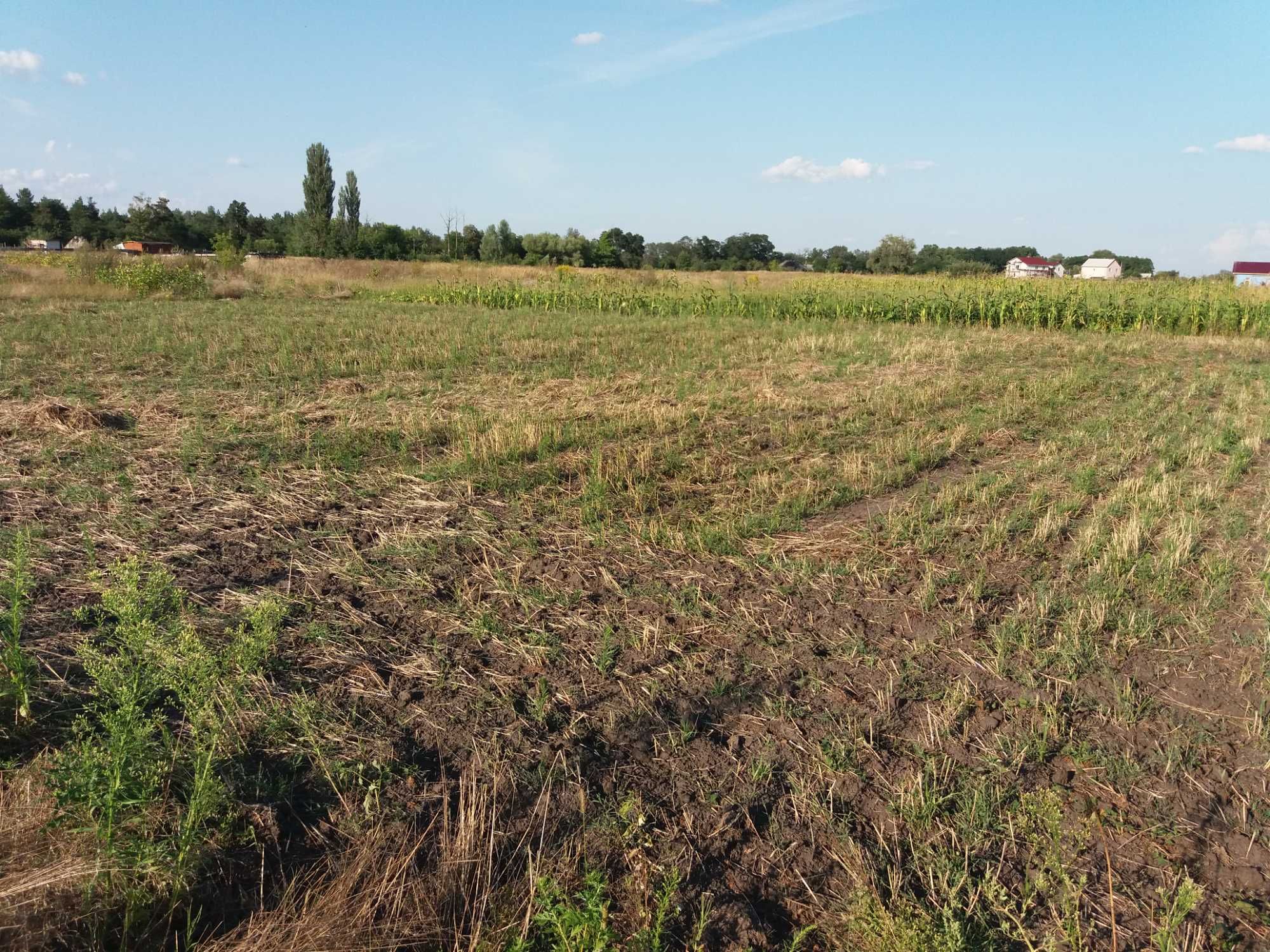 Терміново! Продаж ділянки в с. Нижча Дубечня від власника