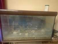 Aquario 300L com todos os acessorios