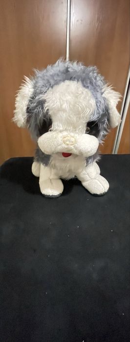 Подарую велику мʼяку іграшку Собака