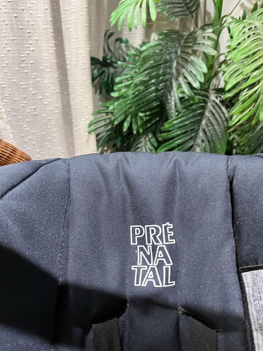 Ovo de bebé Pré natal