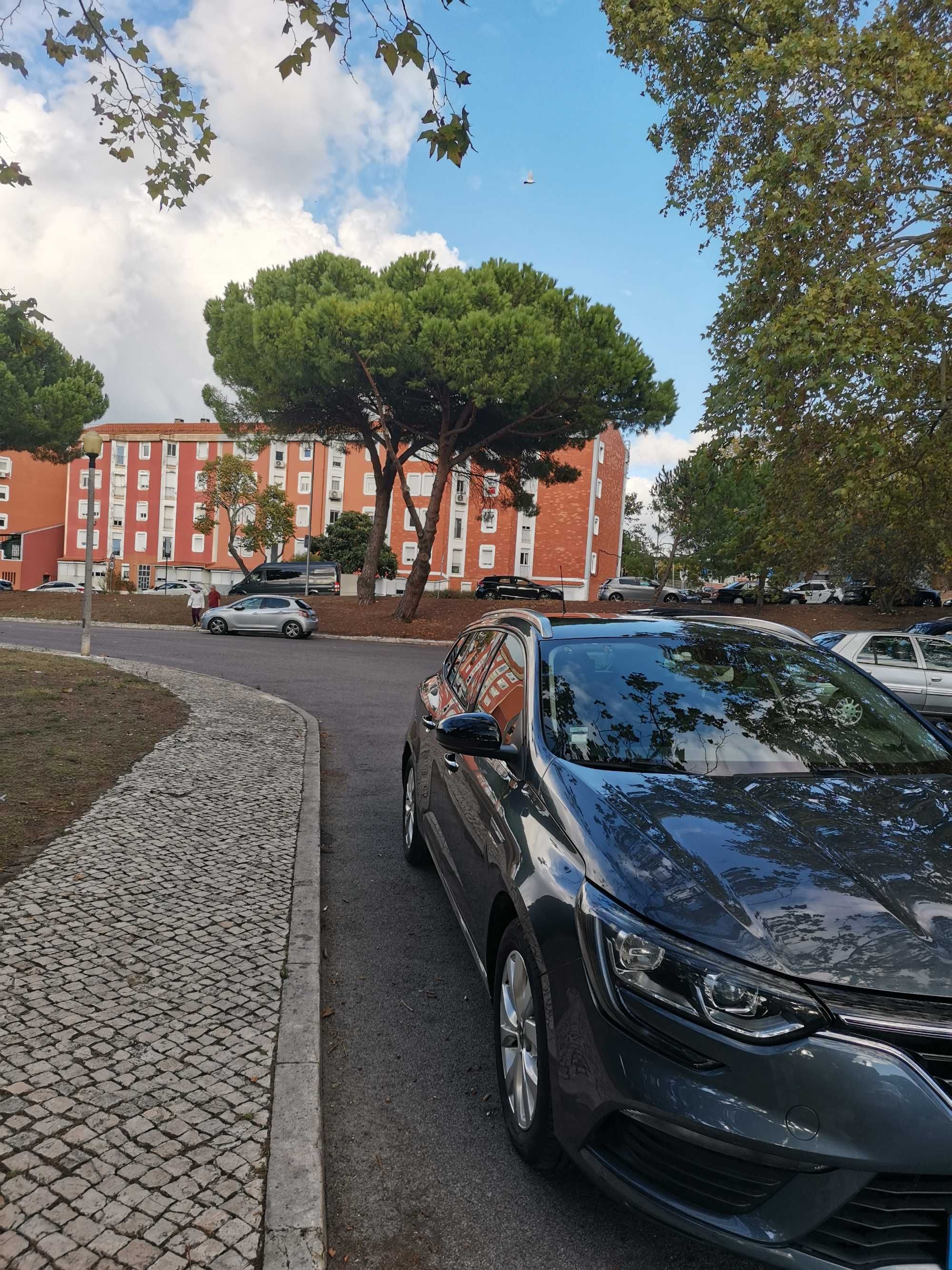 Empresa TVDE + Carro ou apenas empresa