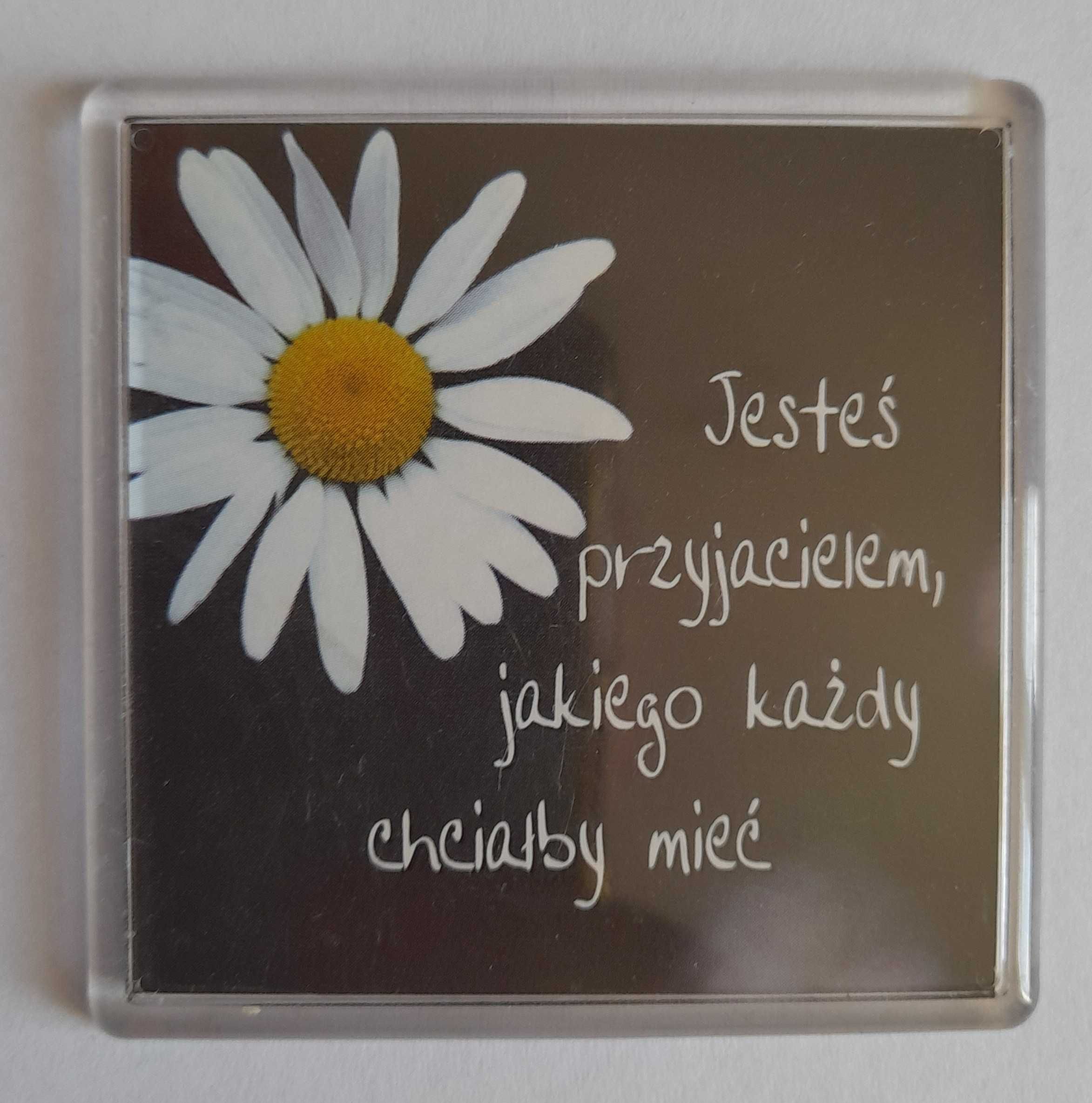 MAGNES NA LODÓWKĘ Jesteś przyjacielem jakiego...